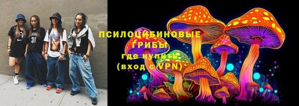 индика Новокубанск